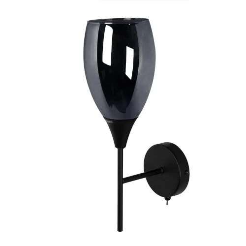 Бра с выключателем Barry A7951AP-1BK Arte Lamp чёрный на 1 лампа, основание чёрное в стиле современный 
